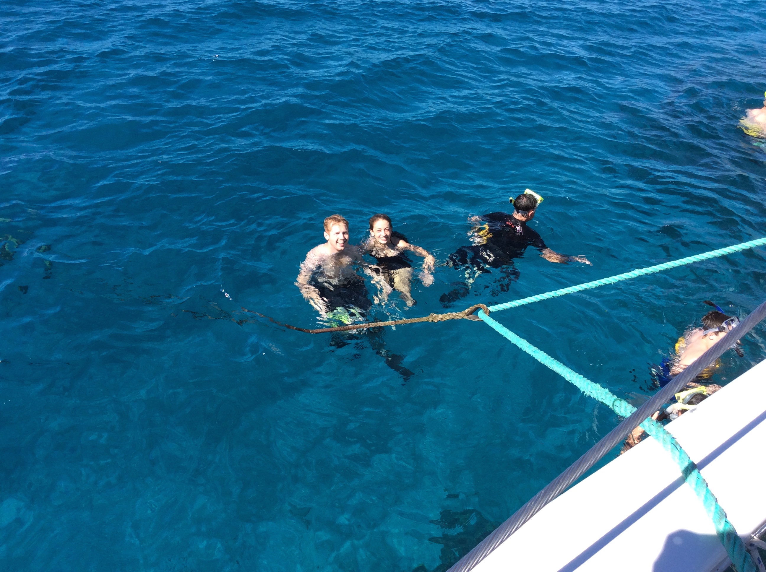 Snorkeling with the turtles